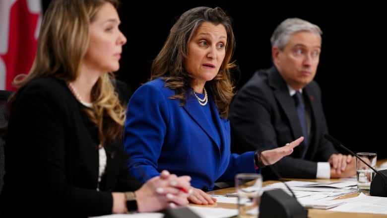 Families, Children and Social Development Minister Jenna Sudds, left to right, Deputy Prime Minister and Minister of Finance Chrystia Freeland and Innovation, Science and Industry Minister Francois-Philippe Champagne hold a press conference at the National Press Theatre in Ottawa on Tuesday, April 30, 2024.