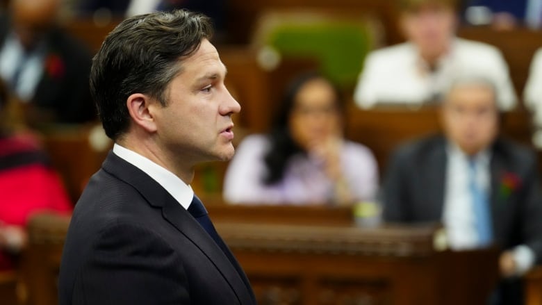 Conservative Leader Pierre Poilievre rises during question period in the House of Commons on Parliament Hil