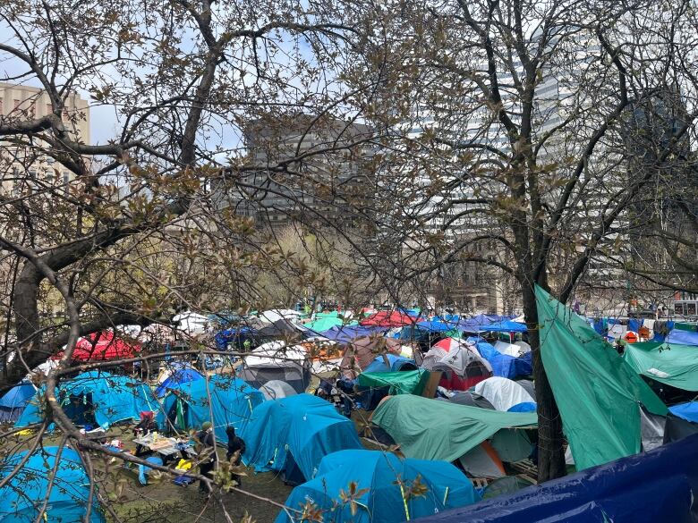 A sea of tents amid some trees