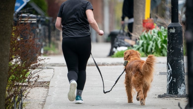 A person is jogging with their dog. The dog has reddish-brown fur, and the owner is wearing a dark t-shirt and leggings and blue jogging shoes. 