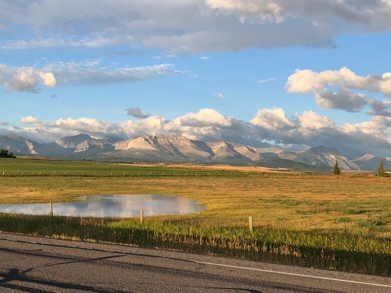 The sun warms up a mountain landscape near Waterton as green grasses roll into the mountains.