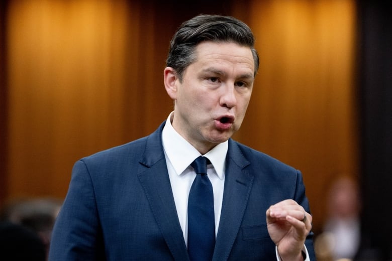 Conservative Party Leader Pierre Poilievre rises during Question Period on Parliament Hill in Ottawa on Monday, May 6, 2024.