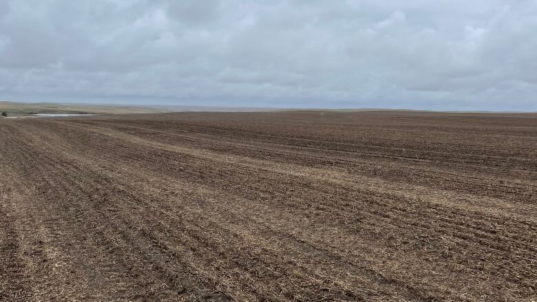 A dirt field with clouds above