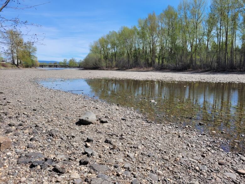 A dry riverbed with a puddle in it.