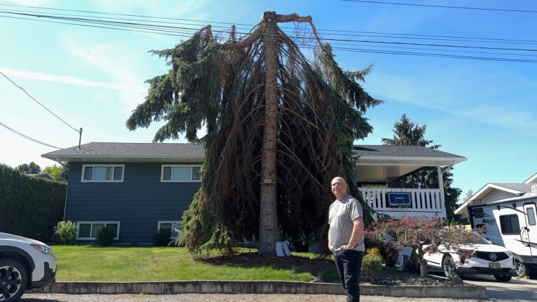 A man stands in front of a large coniferous tree that has had the branches cut on one side. 