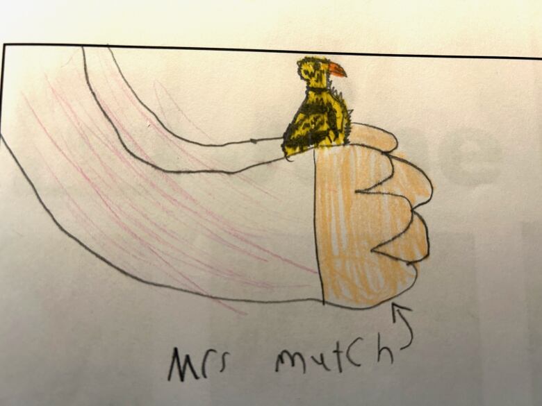 A drawing of a person's hands holding a duckling. The words 