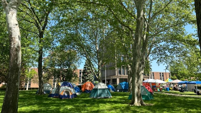 Tents among trees on green grass