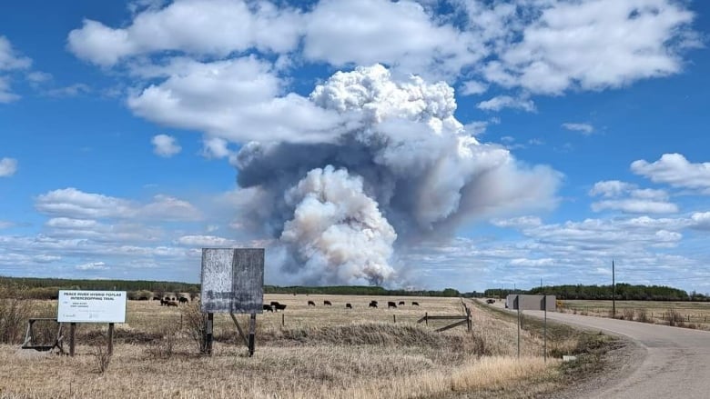 Plumes of smoke rise from a fire.