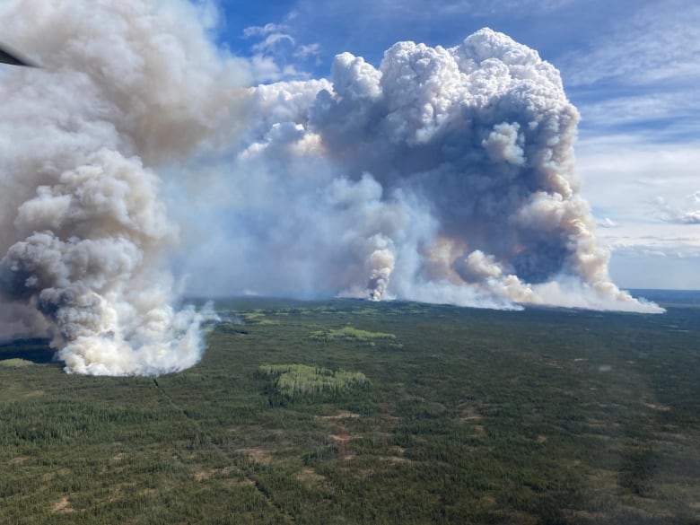 Very large plumes of smoke emerge from the ground due to a wildfire.