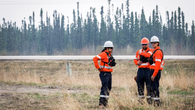 Wildfire specialists with Fire & Flood Emergency Service Ltd., pictured along highway. 