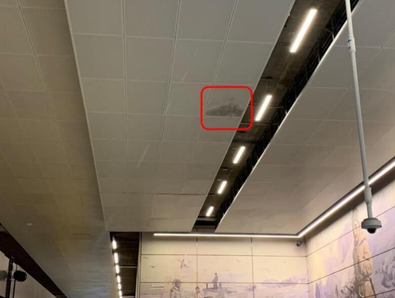 Image of ceiling tiles. One of them is visibly darker, and highlighted by a red box.