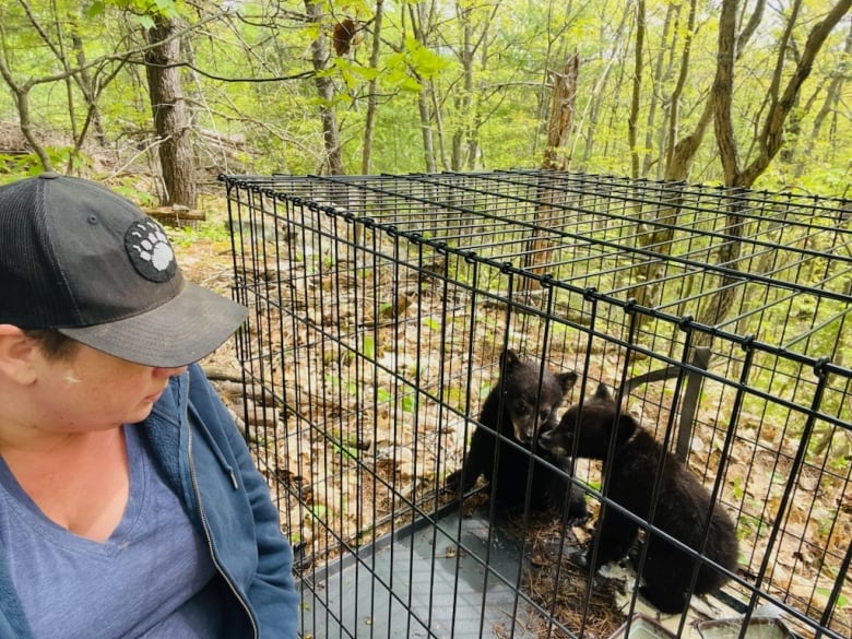 A woman looking at two baby bears.