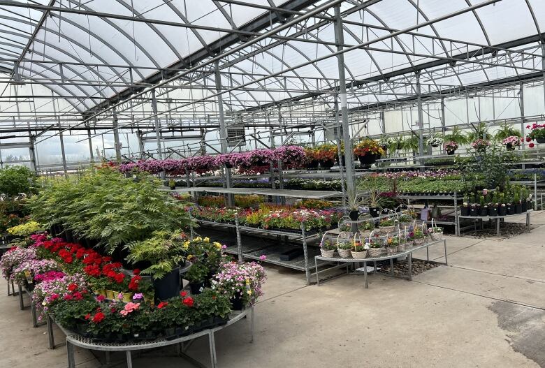 The Cobblestone Garden Centre says it's selling more fruit and vegetable plants to accommodate families struggling with the cost of living. 