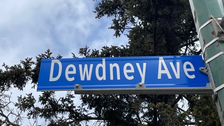 A blue street sign with white lettering displays the phrase 