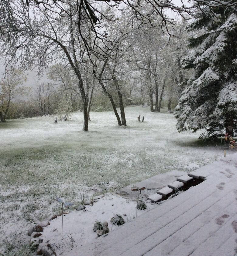 Snow is seen covering a lawn and deck while trees have fresh spring leaves.