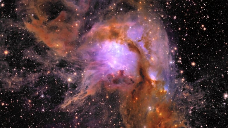 A purple and orange cloud of dust sits among thousands of stars.