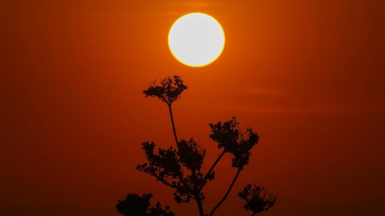 A red sun rises against a red sky