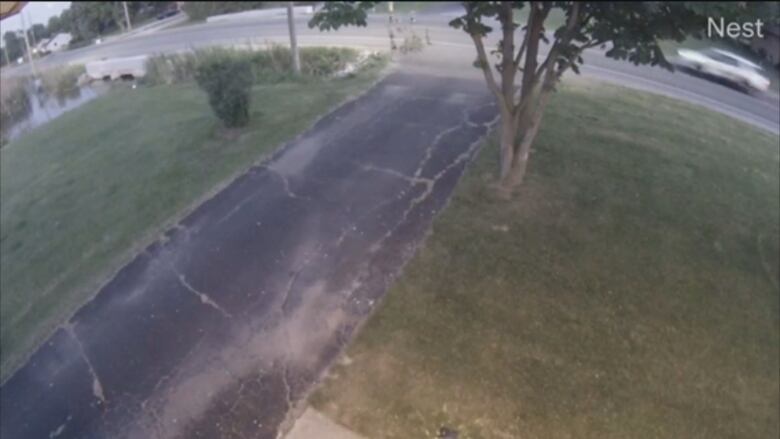 A grainy security camera image showing a car and a family of geese