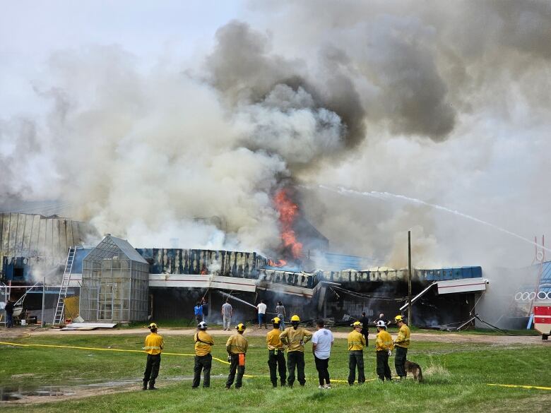 A line of firefighters faces away from camera, toward a burning building.