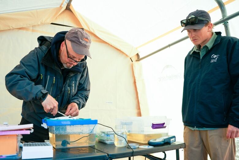 A man on the left wearing a ballcap uses tweezers to stitch up a small fish while another man with a green shirt and ball cap observes.