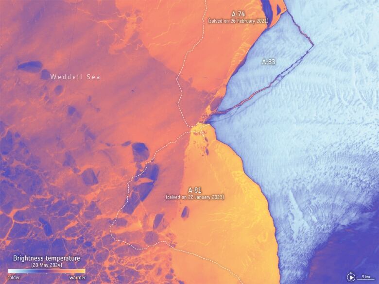 Satellite thermal image of labelled icebergs calving from the Antarctic ice sheet into the Weddell Sea