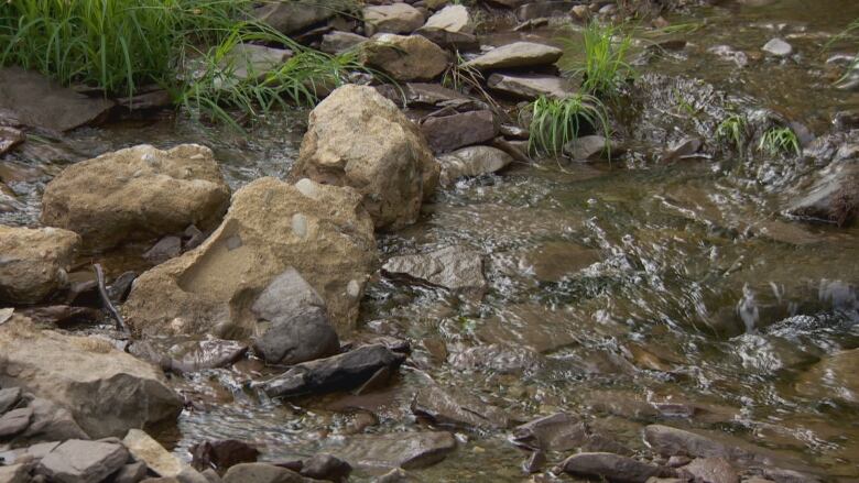 Several large concrete boulders sit in the stream.