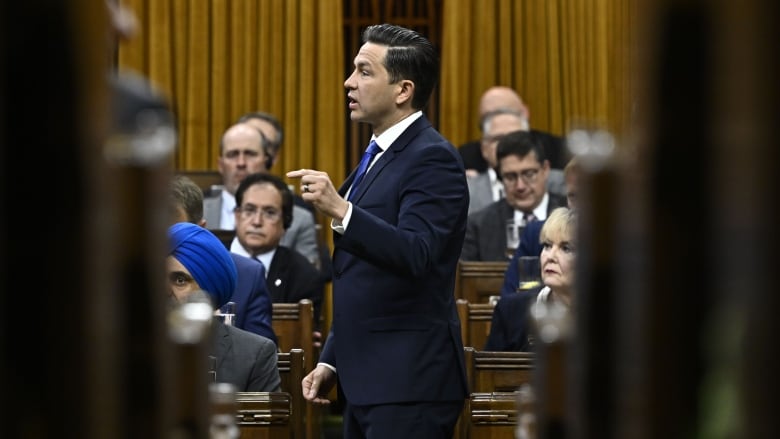 Conservative Leader Pierre Poilievre rises during question period in the House of Commons on Parliament Hill in Ottawa on Monday, May 27, 2024.