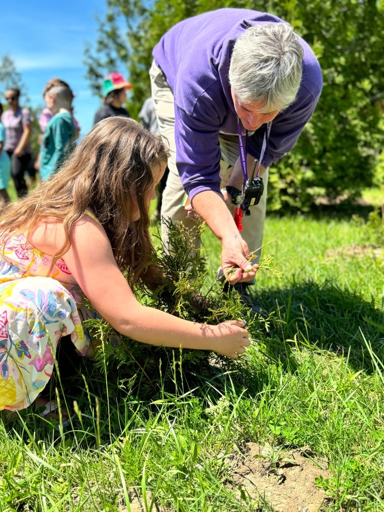 A girl crouches down and touches a cedar seedling, as a man leans over to touch the same tree.