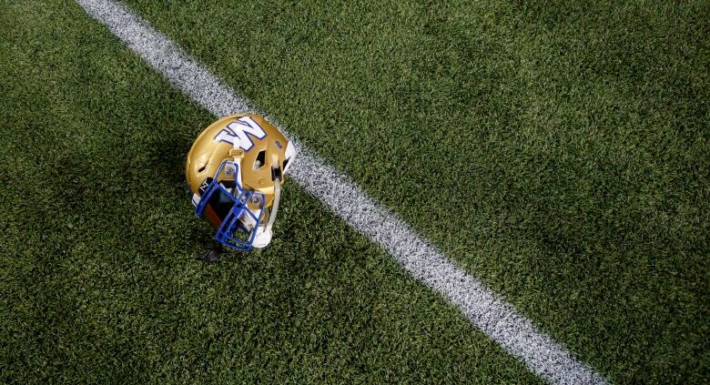 A football player's helmet lays on a bed of artifical grass.