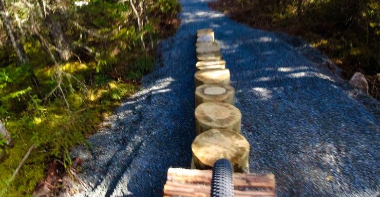 A bike tire is seen in the foreground about to run over stumps of trees.