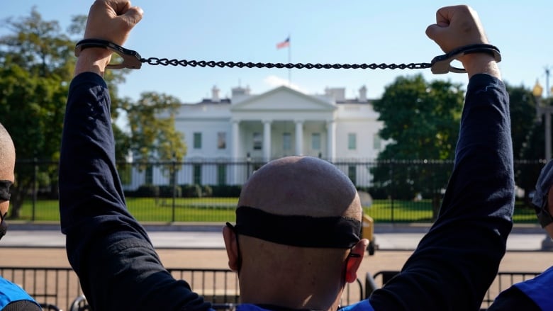 Protester in handcuffs outside White House 