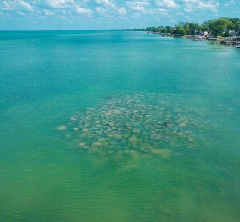 The rock pile in Lake St. Clair, just offshore from the Russell Woods area near Tecumseh, Ont.