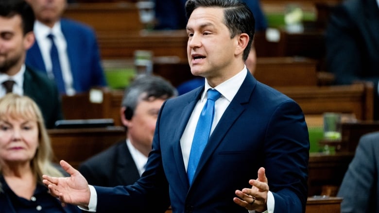 Conservative Party Leader Pierre Poilievre rises during question period in the House of Commons on Parliament Hill in Ottawa, on Monday, June 3, 2024.