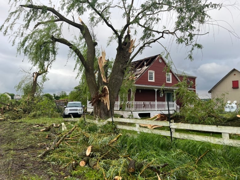 A damaged tree in a field, in front of a home.