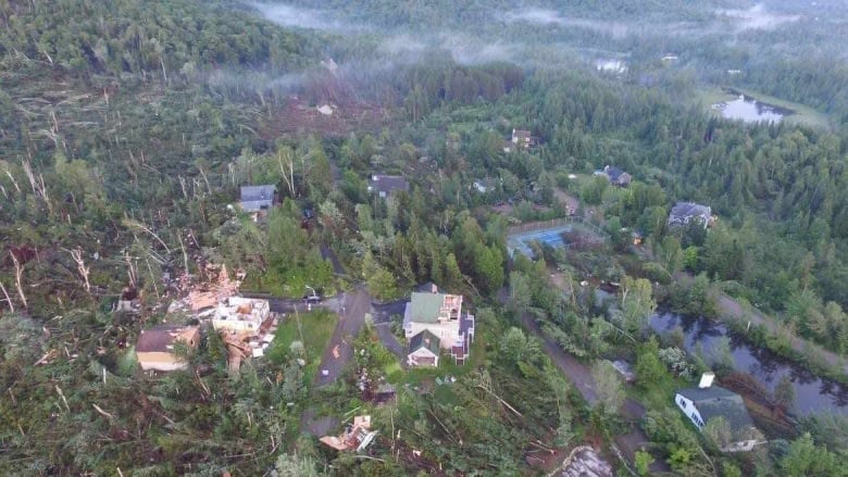 A aerial shot of a forest with many damaged trees and buildings.