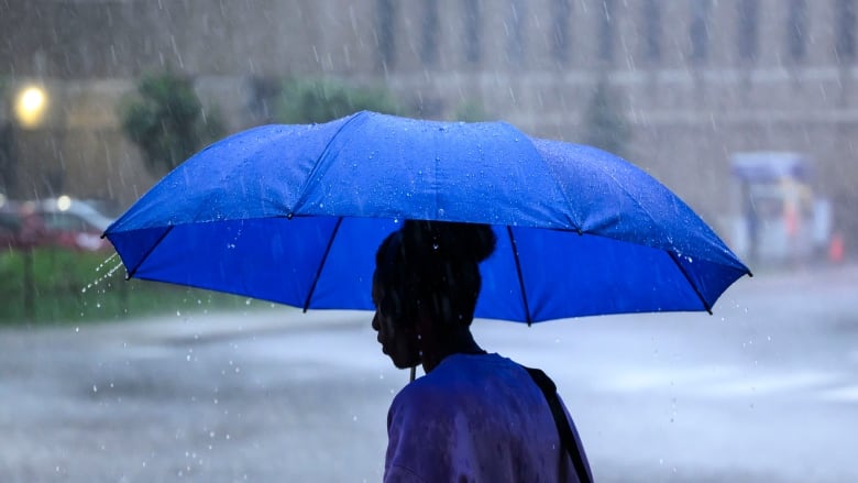 A person with their hair in an updo holds a large blue umbrella over their head in the rain as they stand on the road. Their shirt is dark at the top from rain hitting them.