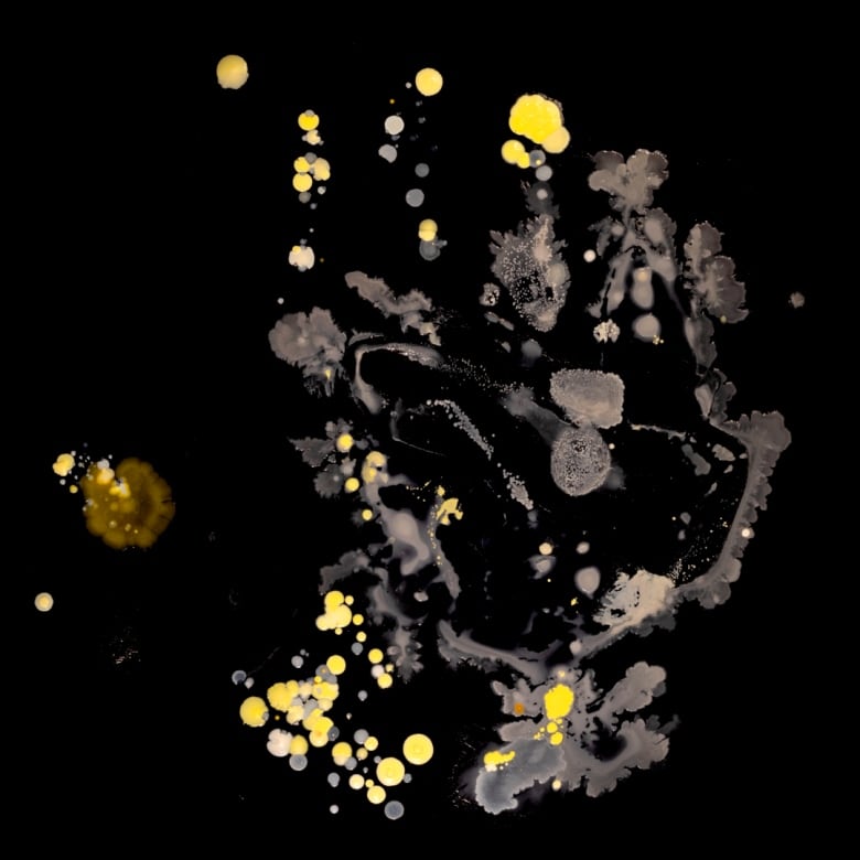 A 'microbial selfie' that shows different germs, fungi and/or yeast that grew from a handprint, on a black background.