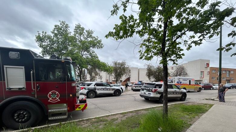 A fire truck, police cars and an ambulance are parked on a street.