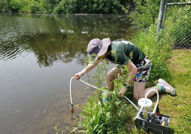 A woman in a green hat puts a white hose into a lake by the shore