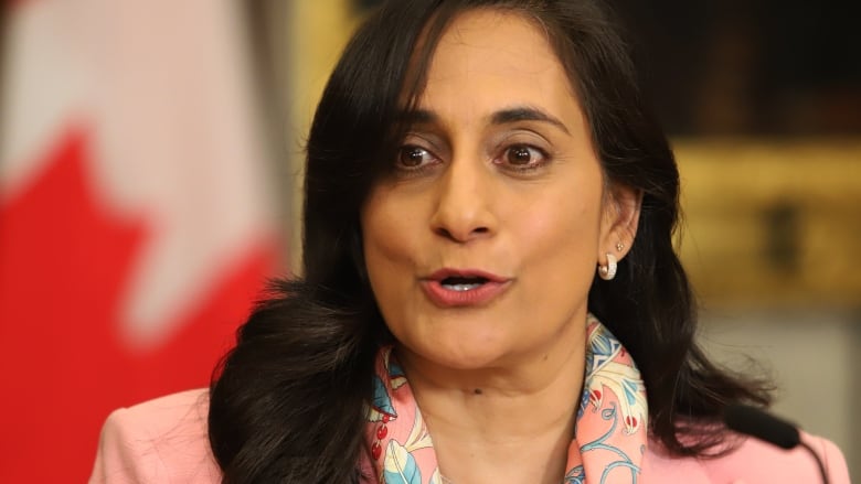 A woman in a pink jacket speaks with a Canadian flag in the background.