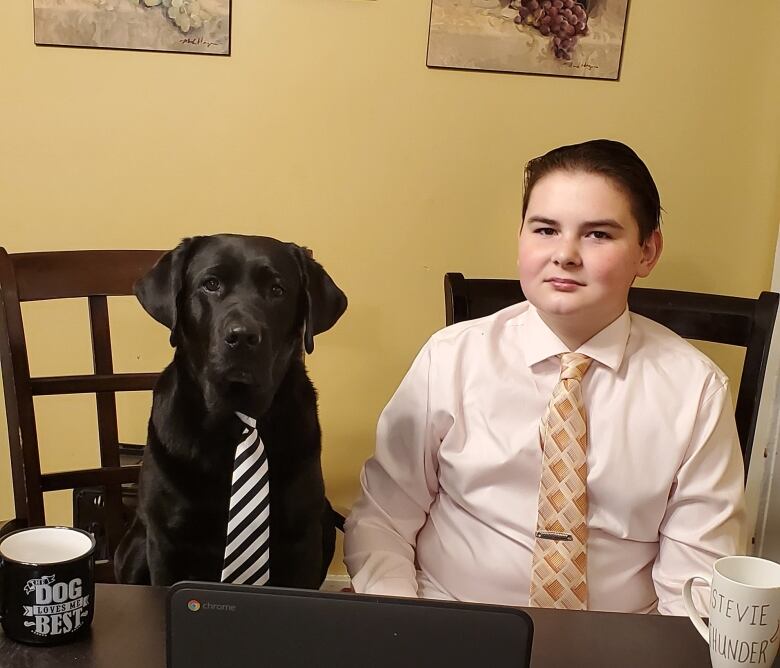 A black dog and a boy sit at a kitchen table, wearing ties.