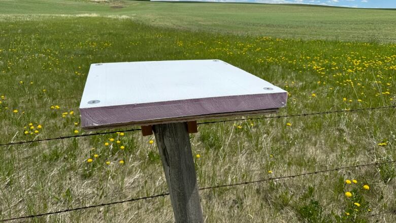 This hail pad is one tool researchers are using to measure and mitigate damage from hailstorms.