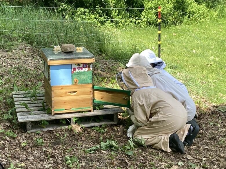 Children kneel near a beehive wearing protective clothing.