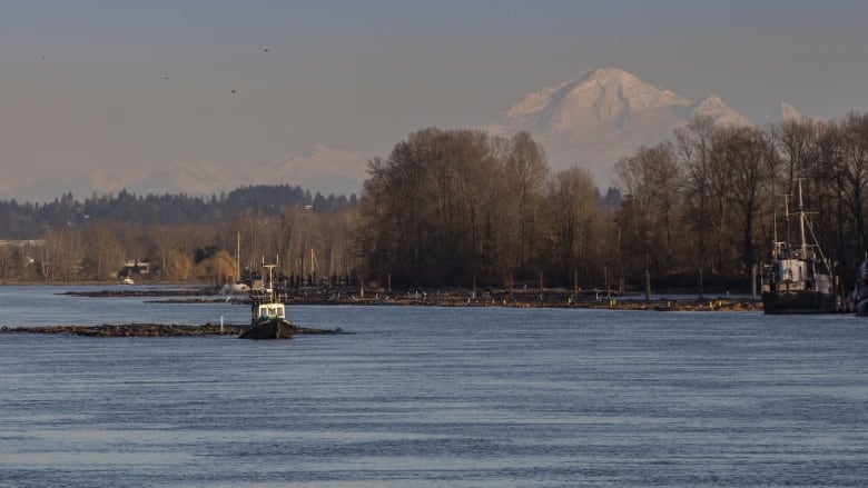 Collections of logs are pictured on a river, with a picturesque mountain in the background and various ships milling around.