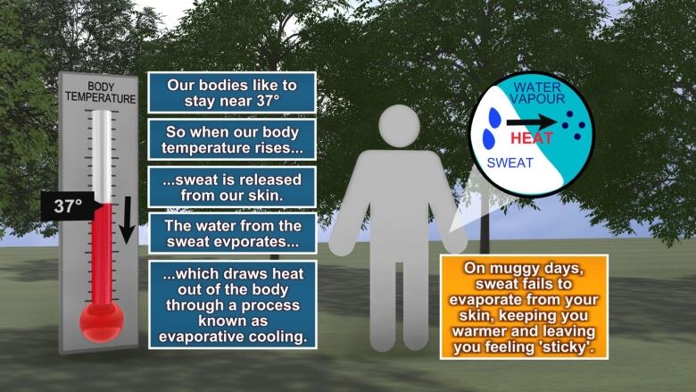 A graphic of a thermometer, a person and a circle divided by heat and water vapour.