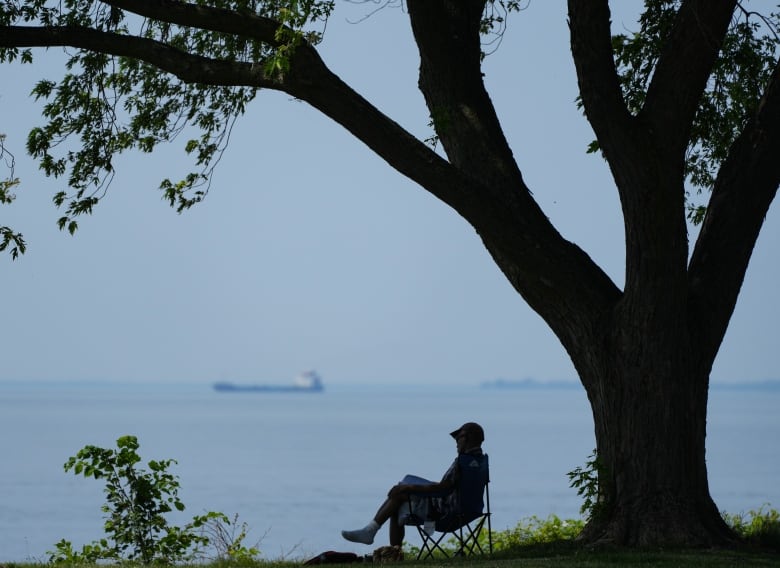 A man sits under a tree in the Montreal borough of Lachine.