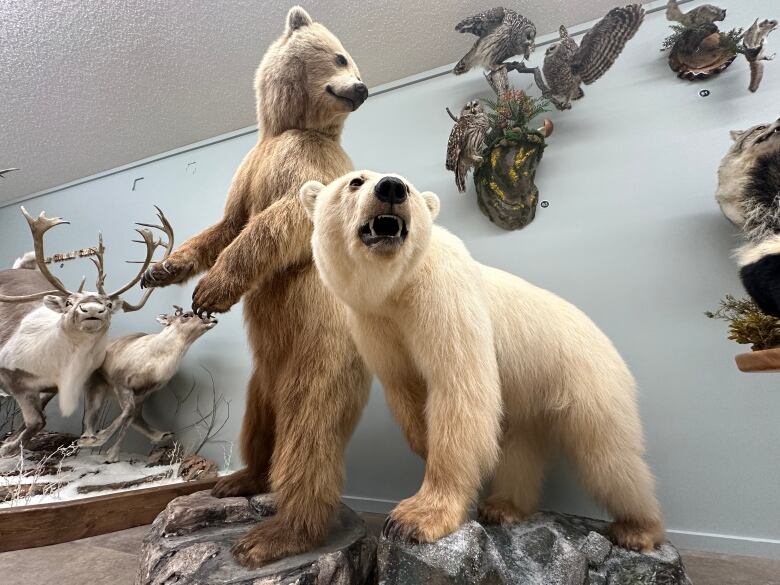 Two stuffed bears. One is a chocolatey shade of brown, standing on its hind legs. The other is a lighter brown, on all fours.