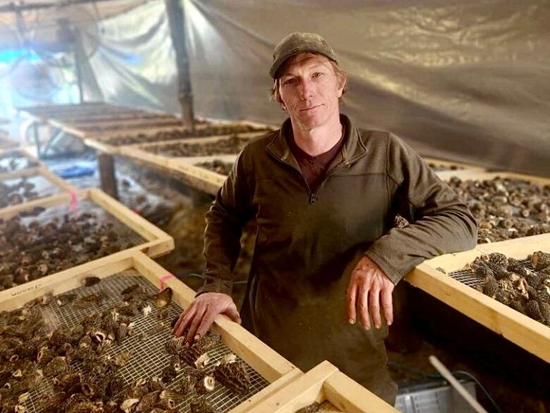 A man leans up against morel mushroom drying racks