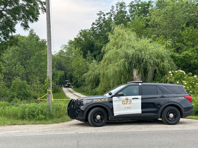 A police cruiser in front of a driveway