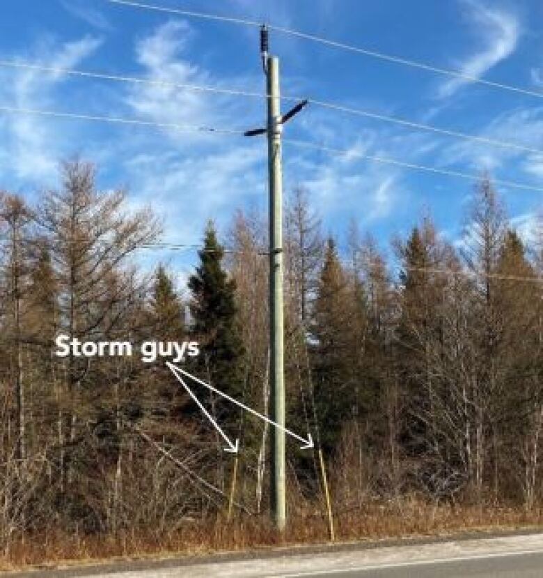 A power pole stands in a wooded area, with extra support wires extending from its midpoint to the ground. 